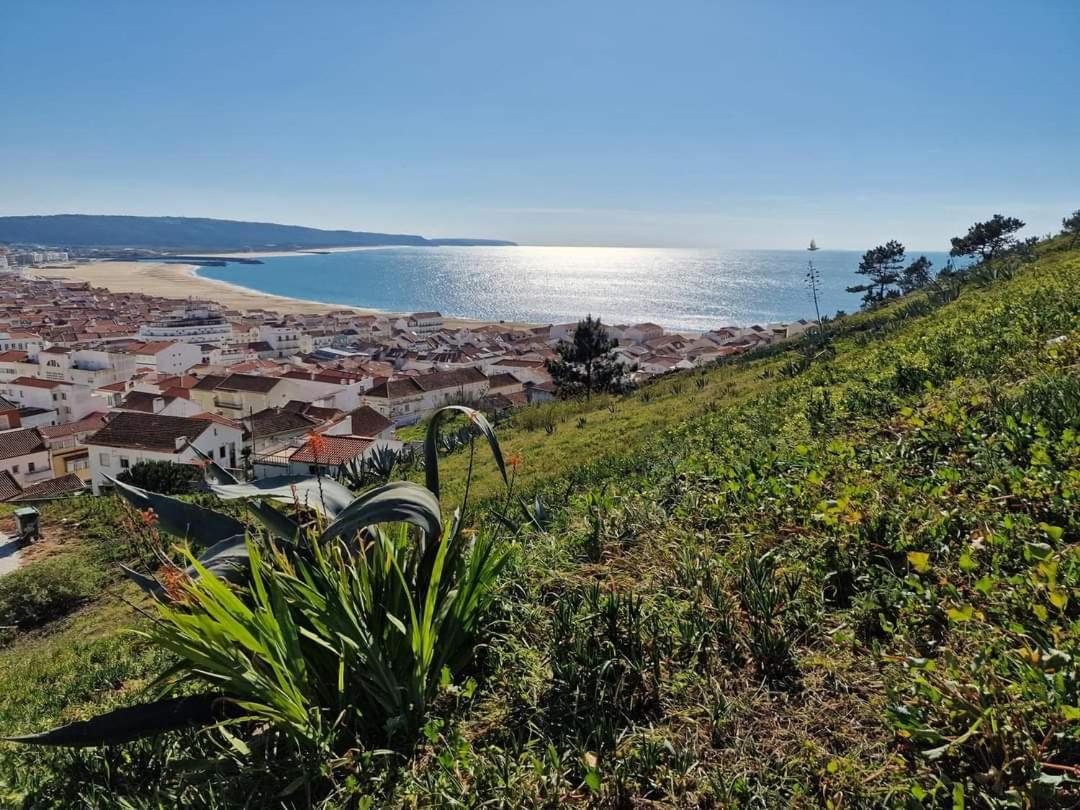 Lucas House Villa Nazaré Eksteriør bilde